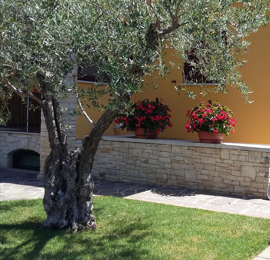 Studio Apartments Pinia-Marina Porec Luaran gambar